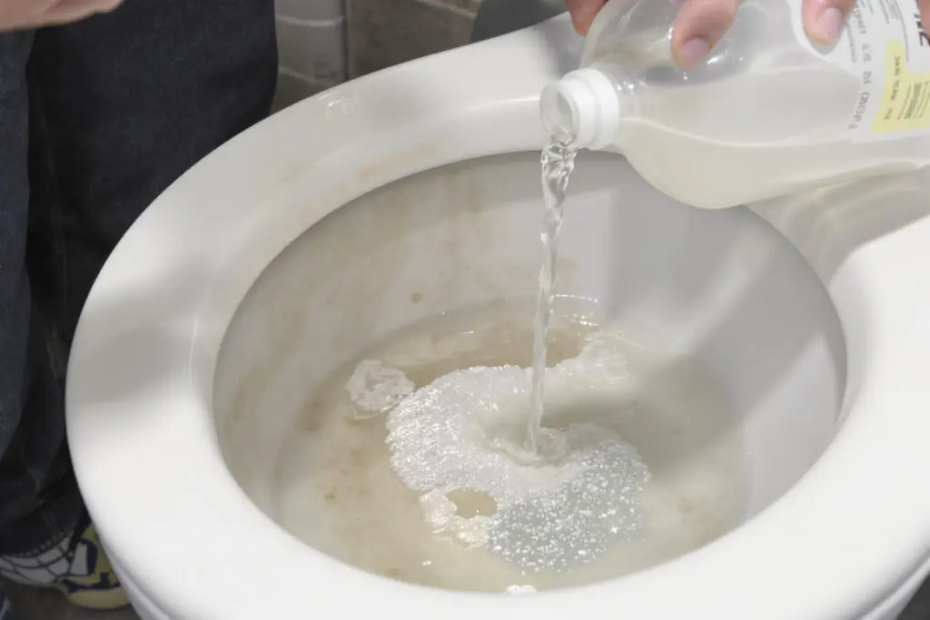 prikaz kako očistiti umazan kotliček wc školjke z namakanjem v kisu čez noč