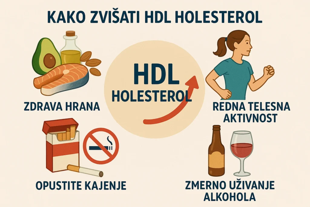 kako zvišati hdl holesterol kako zvišati hdl holesterol